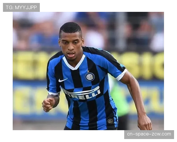 环保进行时:雷恩主场成为法甲首个全面使用太阳能供电的体育场 环保进行时:雷恩主场成为法甲首个全面使用太阳能供电的体育场